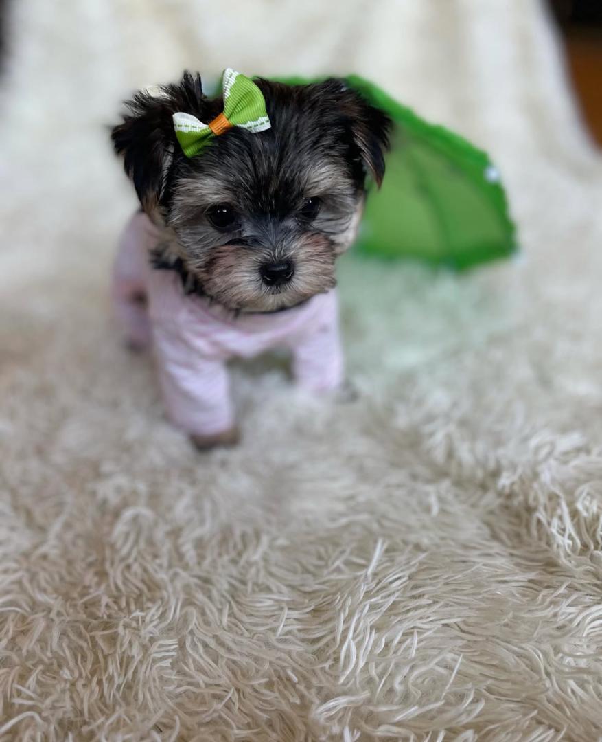 WhatsApp Image 2025-12-02 at 06.27.36_66d69208