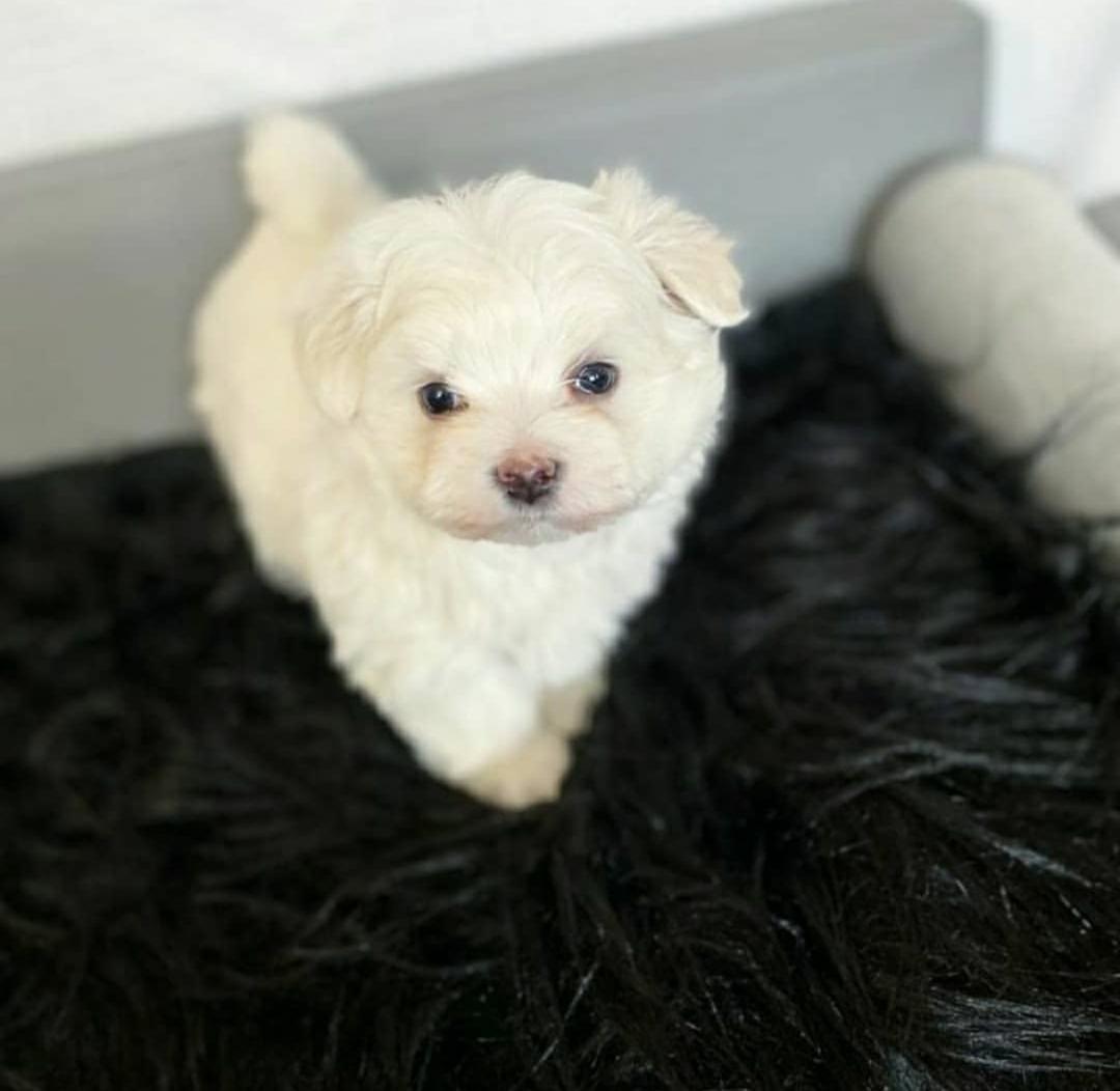 WhatsApp Image 2025-12-02 at 06.27.38_e155d167