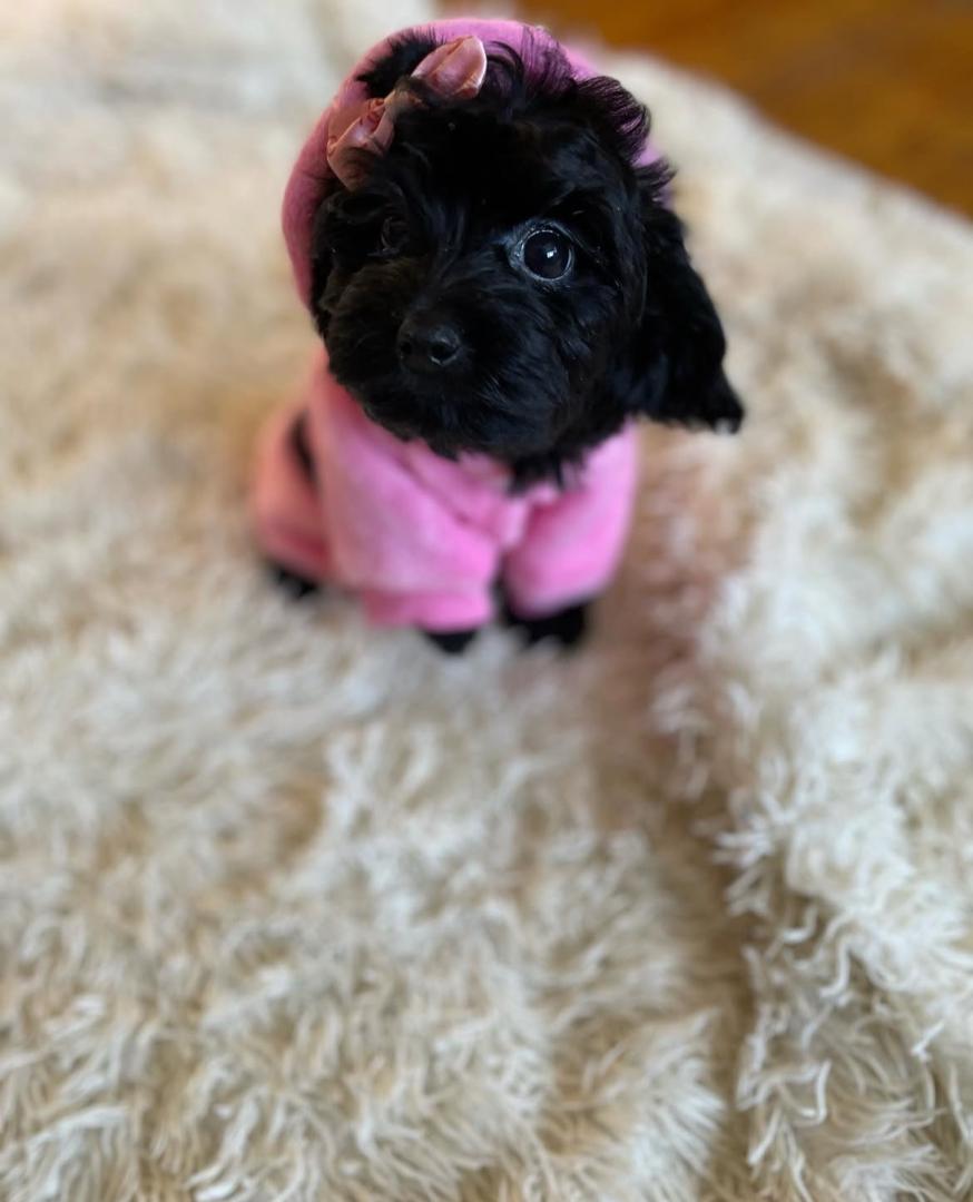 WhatsApp Image 2025-12-02 at 06.27.40_d3010165