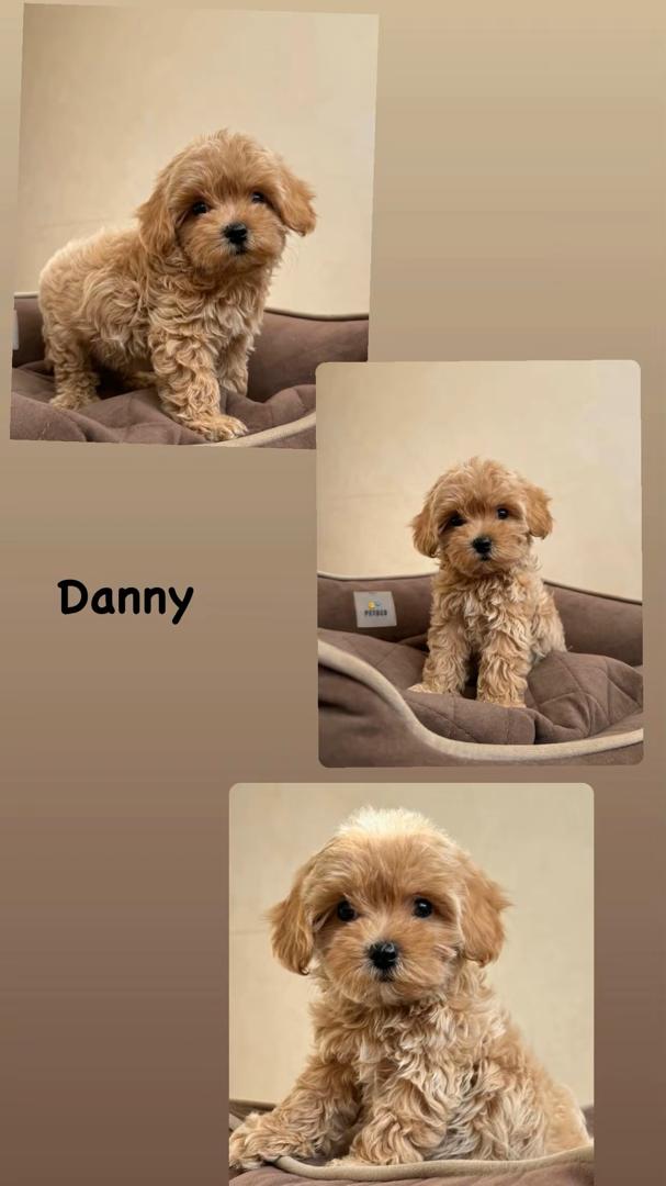 Danny
