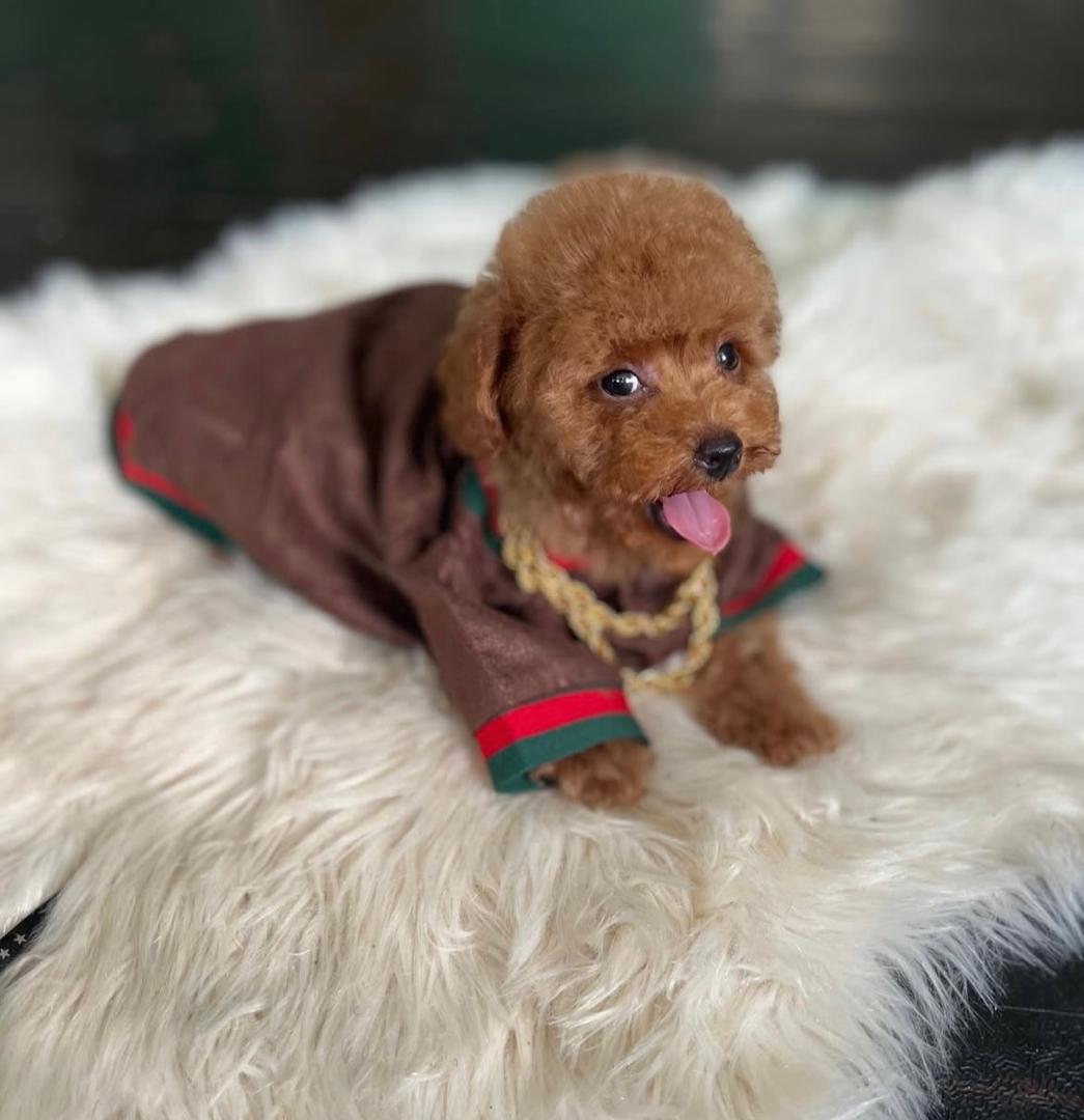 WhatsApp Image 2025-12-02 at 06.27.43_78d46df6