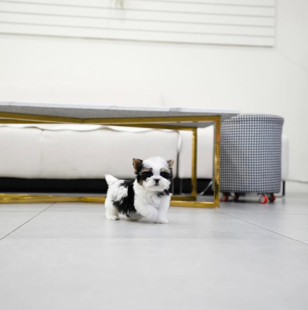 WhatsApp Image 2025-12-02 at 06.27.44_b7554329