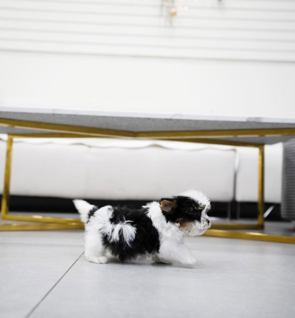 WhatsApp Image 2025-12-02 at 06.27.45_17db9f9f