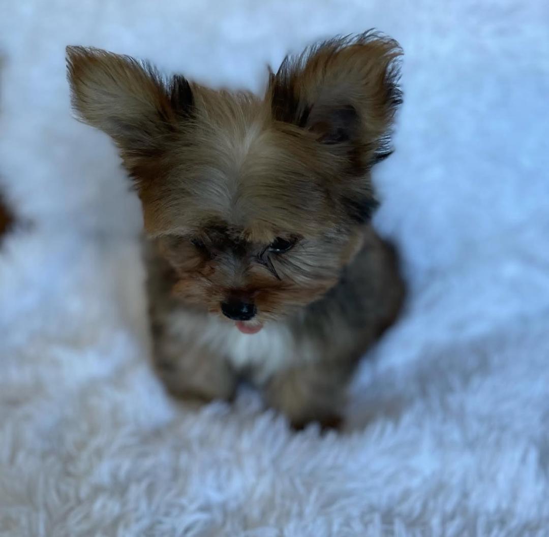 WhatsApp Image 2025-12-02 at 06.27.45_4676ab58