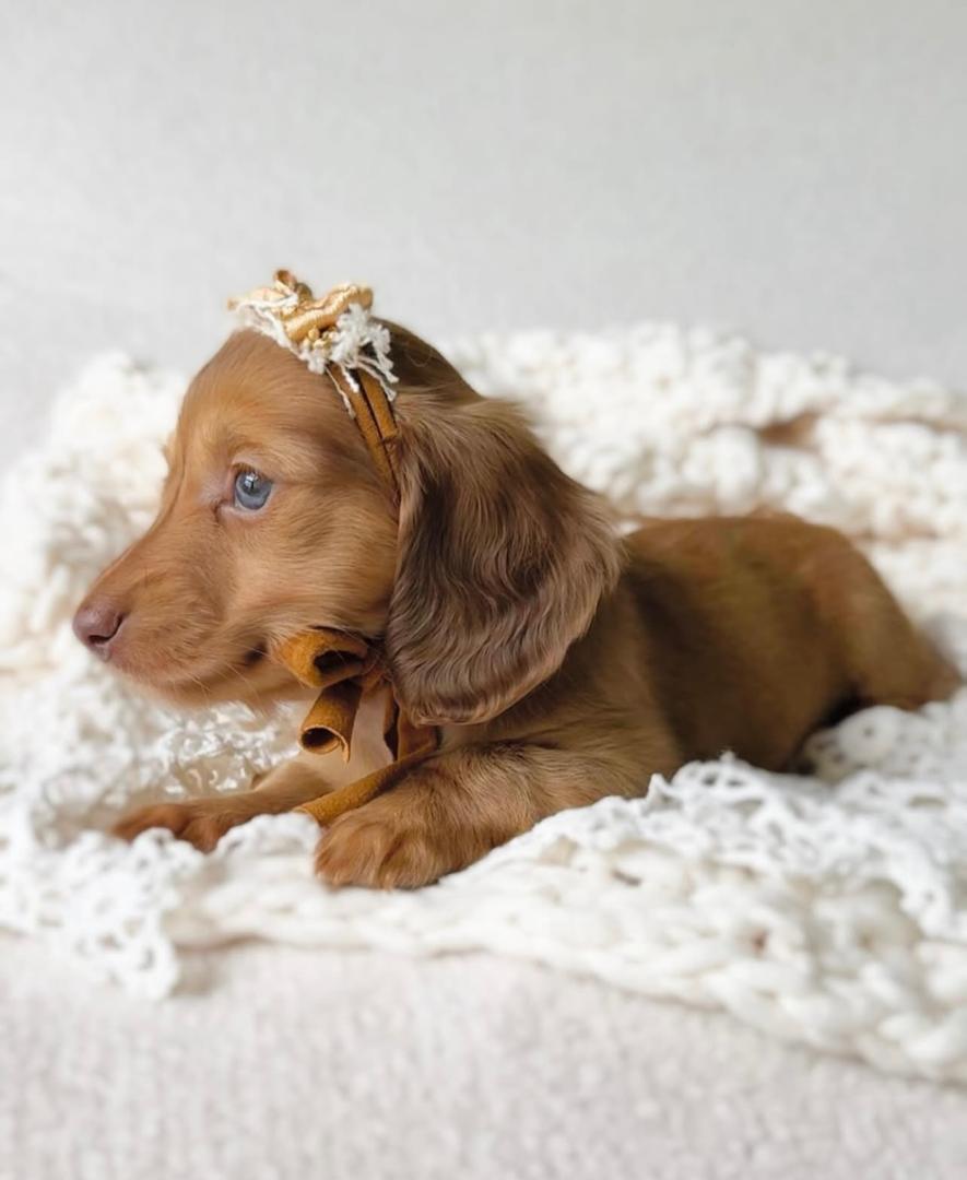 WhatsApp Image 2025-12-02 at 06.27.52_69ab5180