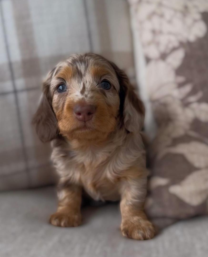 WhatsApp Image 2025-12-02 at 06.27.52_731d1975