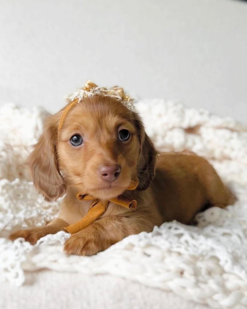 WhatsApp Image 2025-12-02 at 06.27.52_bb541c5a