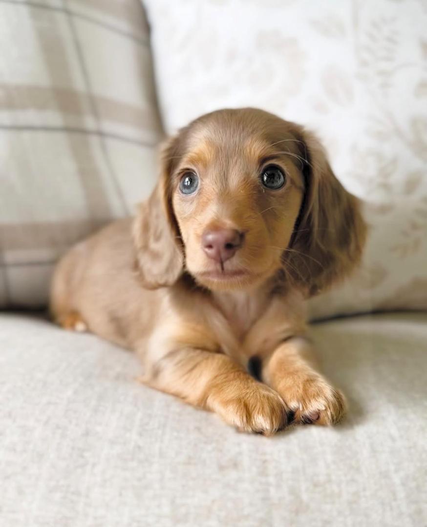 WhatsApp Image 2025-12-02 at 06.27.53_c449a70d