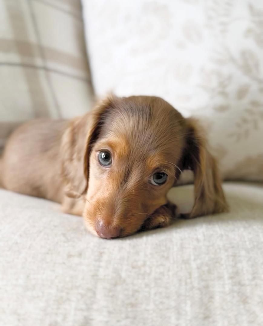 WhatsApp Image 2025-12-02 at 06.27.54_d925ccdf