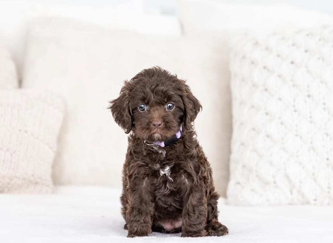 WhatsApp Image 2025-12-02 at 06.27.55_7d7e82bc