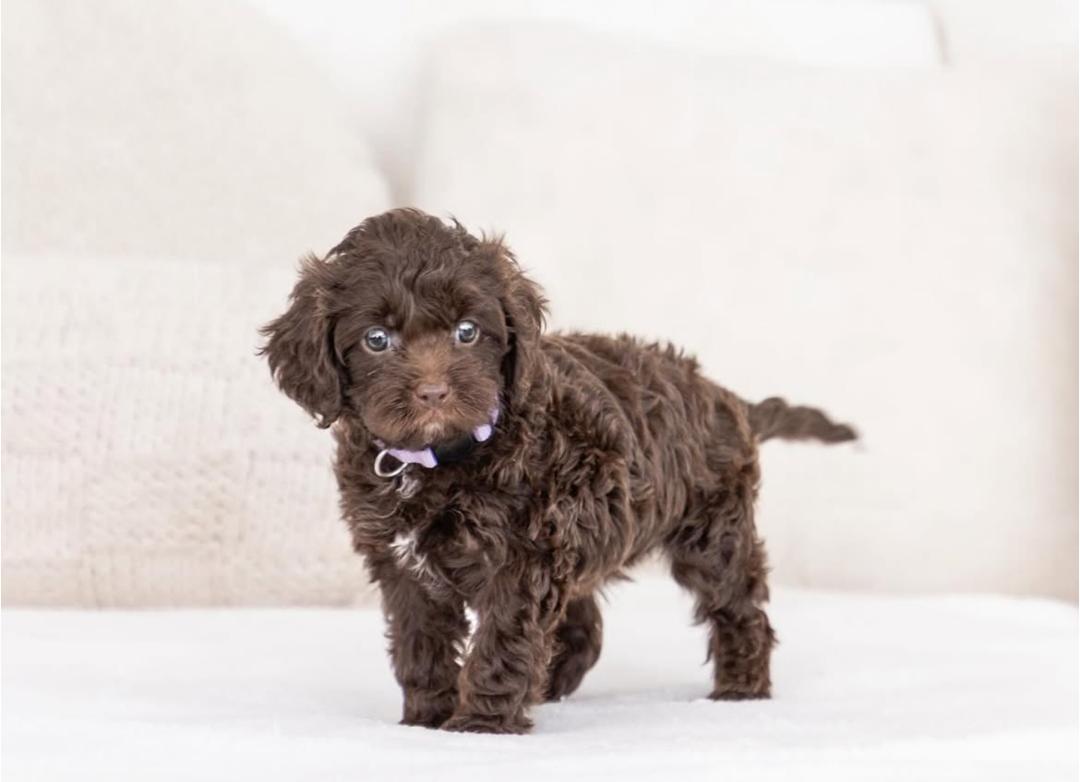 WhatsApp Image 2025-12-02 at 06.27.55_e0d62f18