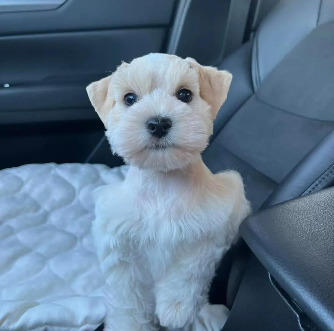 WhatsApp Image 2025-12-02 at 06.27.56_28084ac7