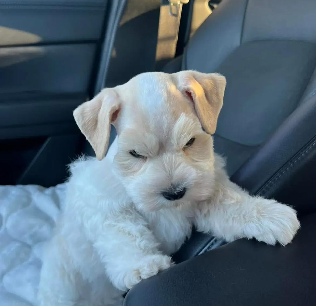 WhatsApp Image 2025-12-02 at 06.27.56_4b03c22a