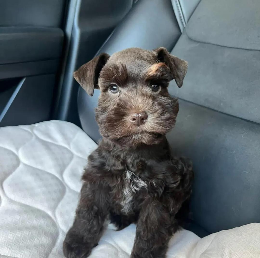 WhatsApp Image 2025-12-02 at 06.27.57_891b49ca