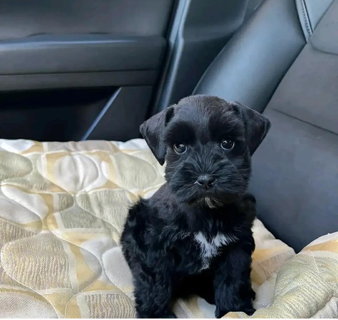 WhatsApp Image 2025-12-02 at 06.27.58_8032f2b5