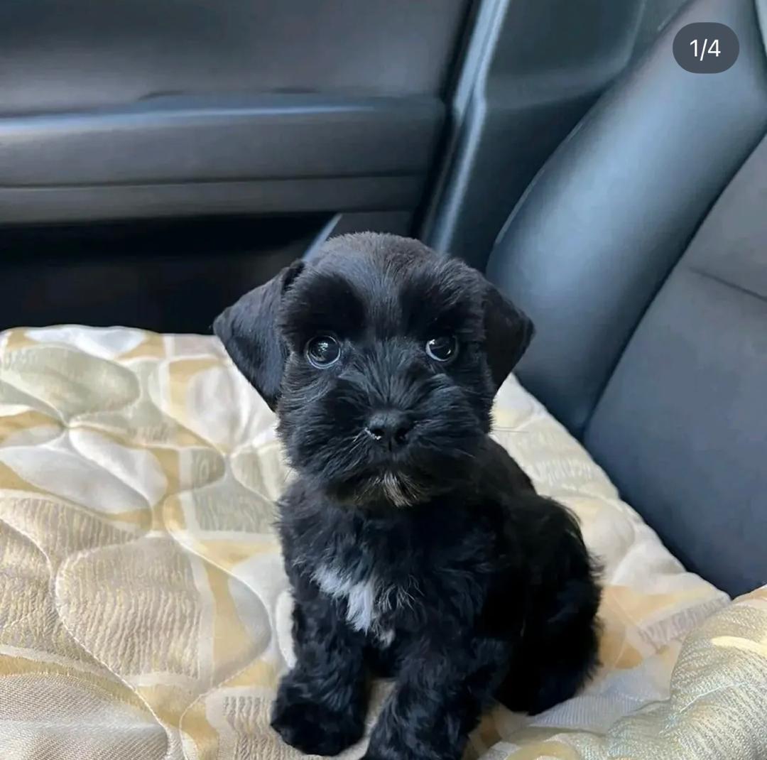 WhatsApp Image 2025-12-02 at 06.27.58_e481ecce