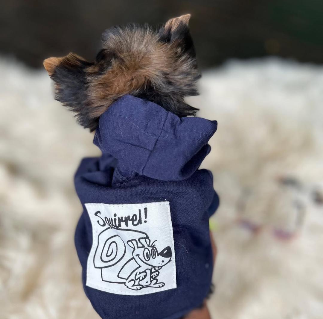 WhatsApp Image 2025-12-02 at 15.27.35