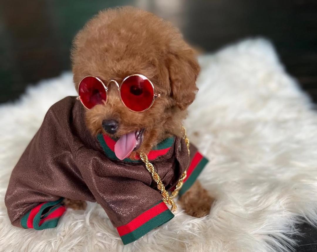 WhatsApp Image 2025-12-07 at 13.14.48