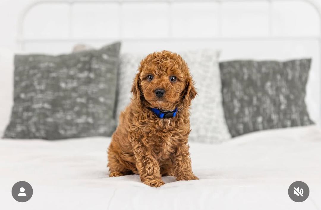 WhatsApp Image 2025-12-07 at 13.17.17