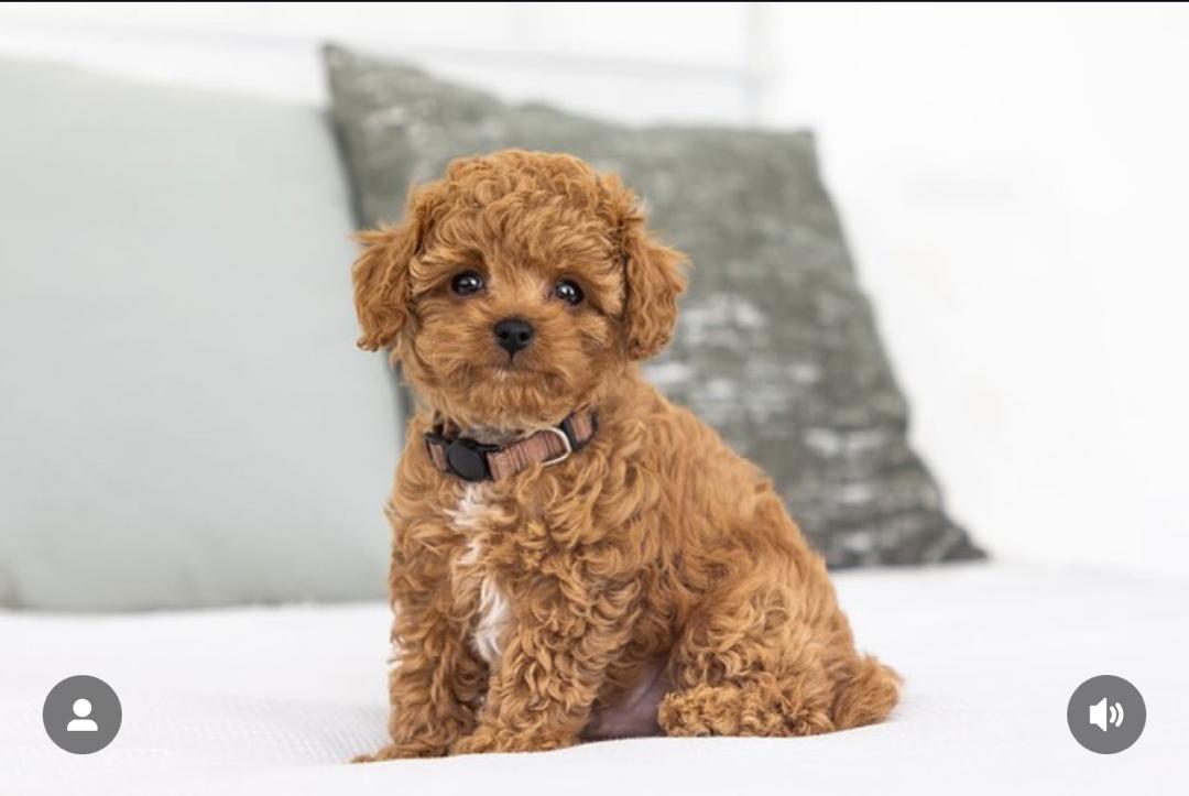 WhatsApp Image 2025-12-07 at 13.19.27