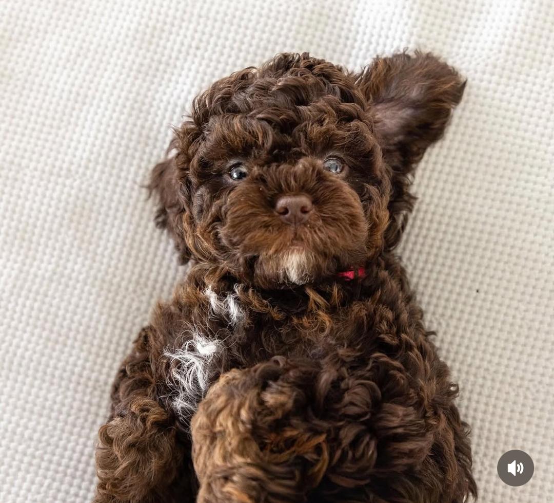 WhatsApp Image 2025-12-07 at 13.21.11