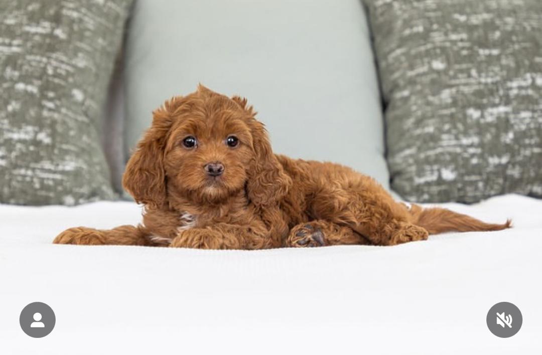 WhatsApp Image 2025-12-07 at 13.25.08