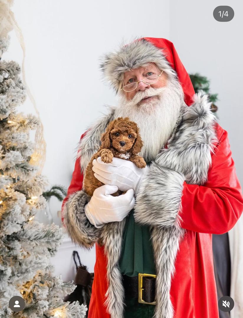 WhatsApp Image 2025-12-07 at 13.26.04