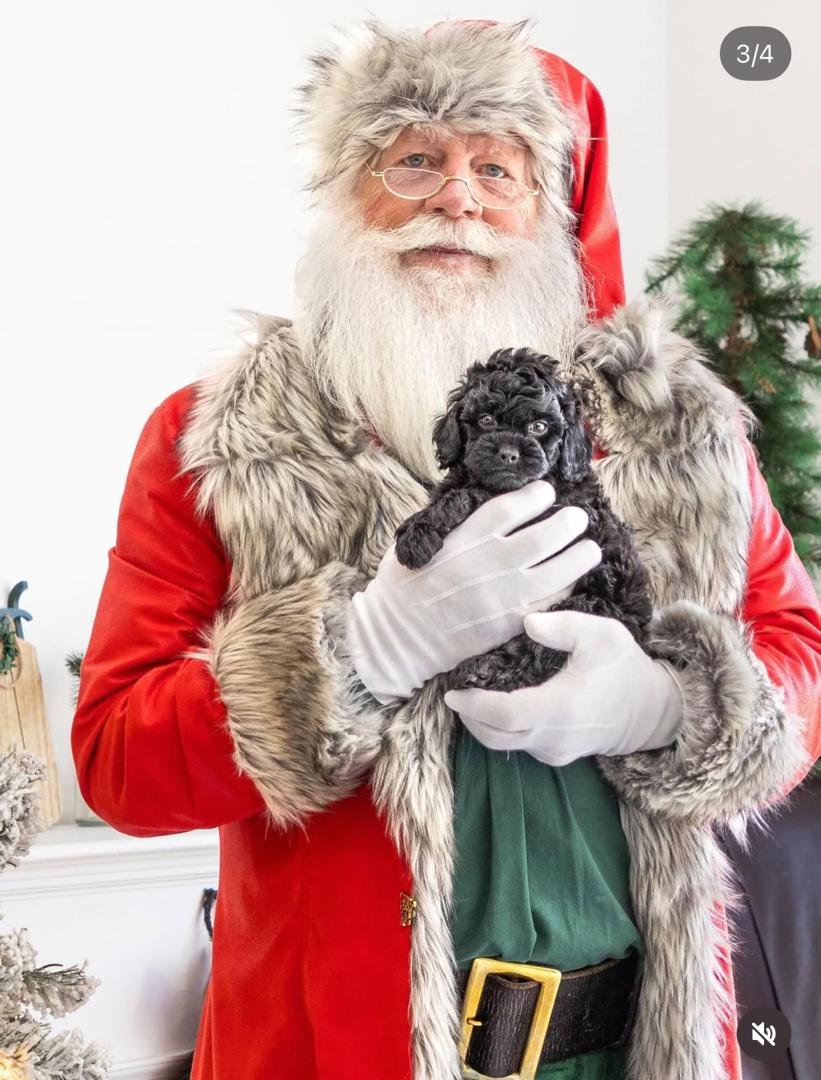 WhatsApp Image 2025-12-07 at 13.26.28