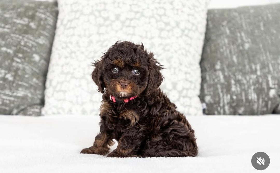 WhatsApp Image 2025-12-07 at 13.26.57 (1)