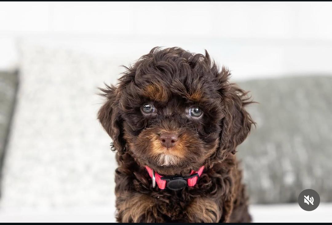 WhatsApp Image 2025-12-07 at 13.26.57