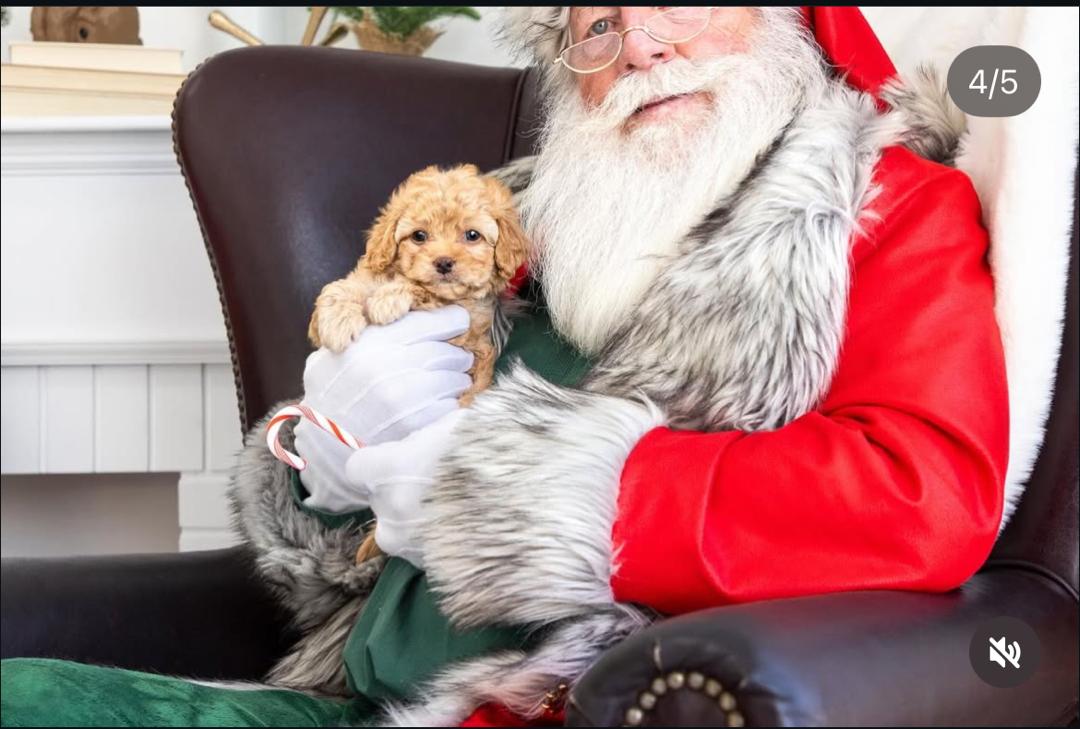 WhatsApp Image 2025-12-07 at 13.28.46 (1)