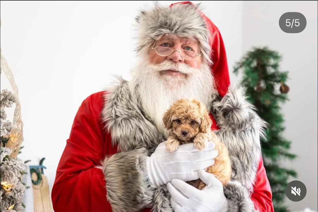 WhatsApp Image 2025-12-07 at 13.28.46