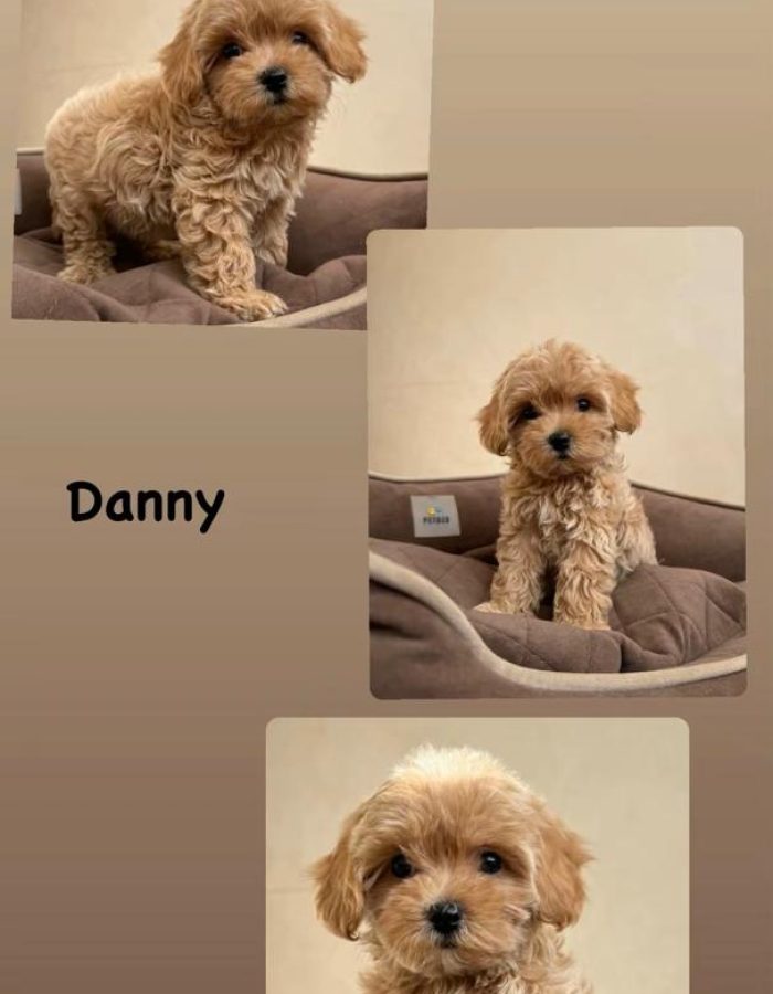 Danny